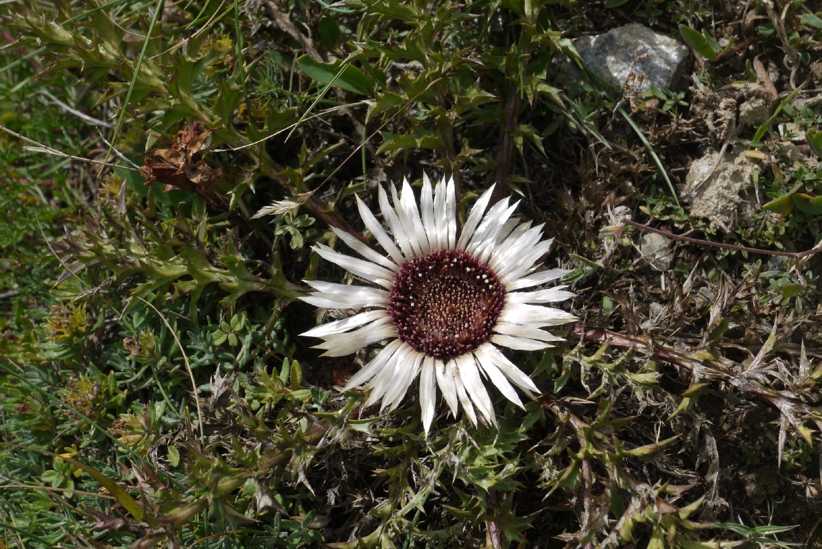 p1010154.jpg