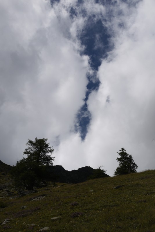 p1010158.jpg
