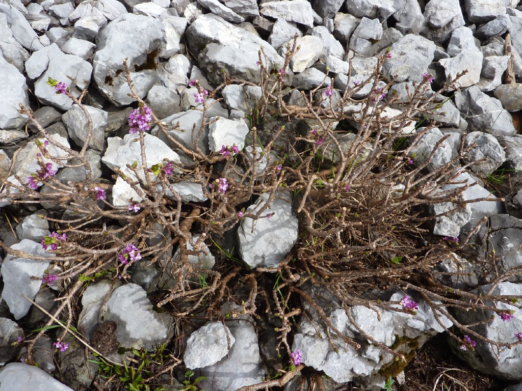 p1010201.jpg