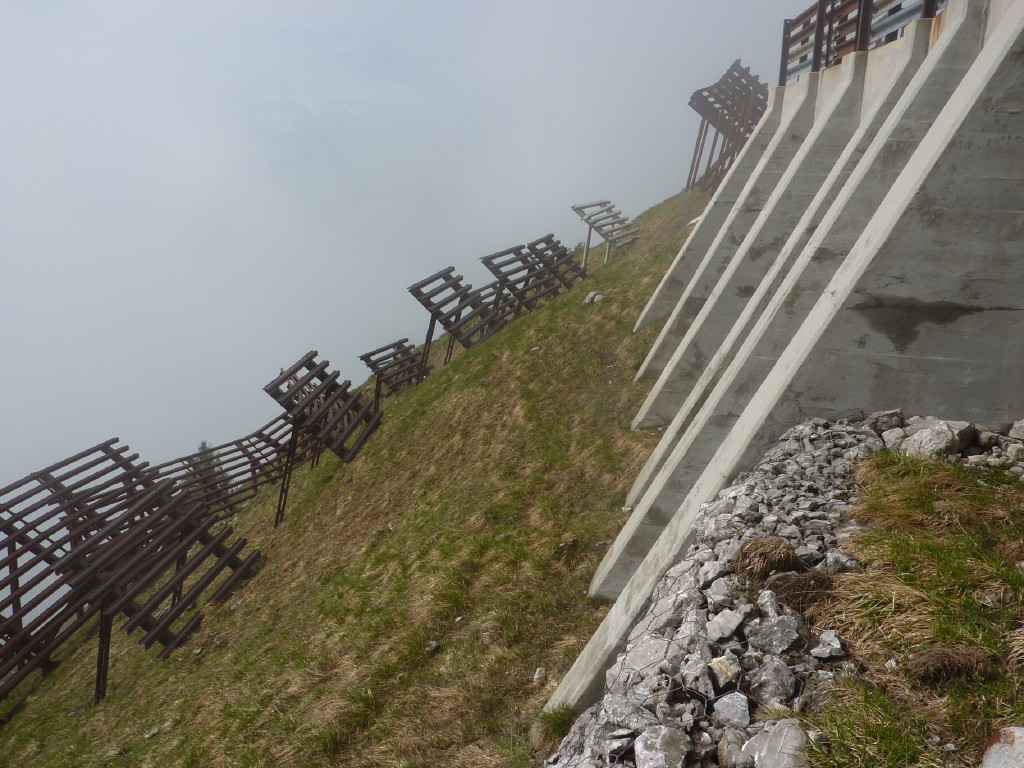 p1010202.jpg