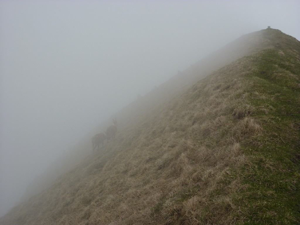 p1010231.jpg