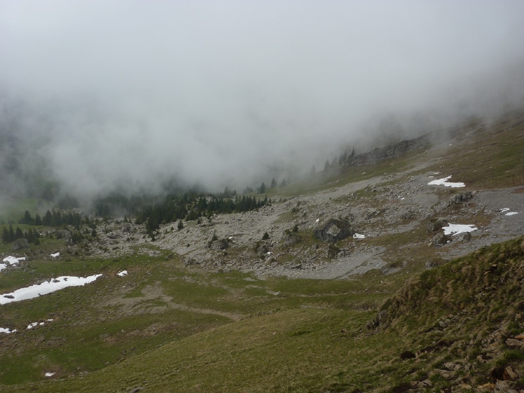 p1010234.jpg