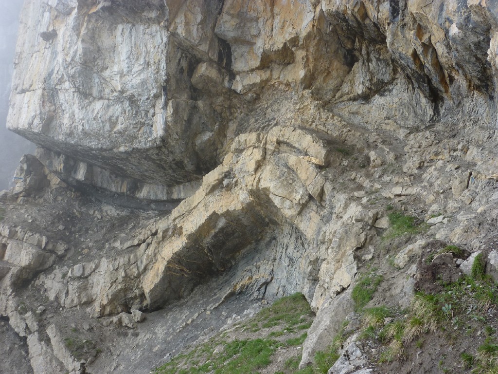 p1010237.jpg