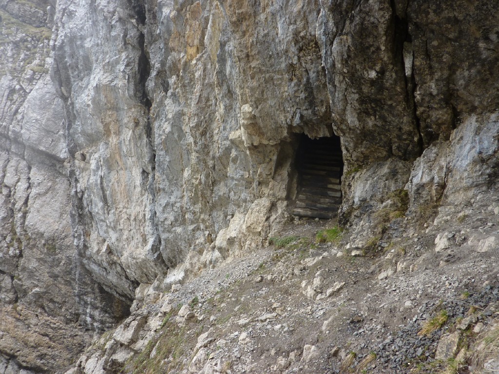 p1010241.jpg