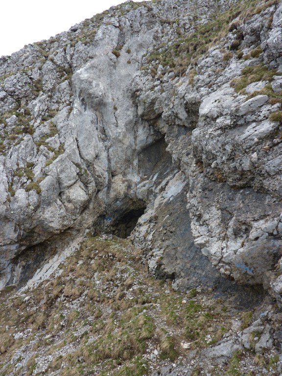 p1010246.jpg