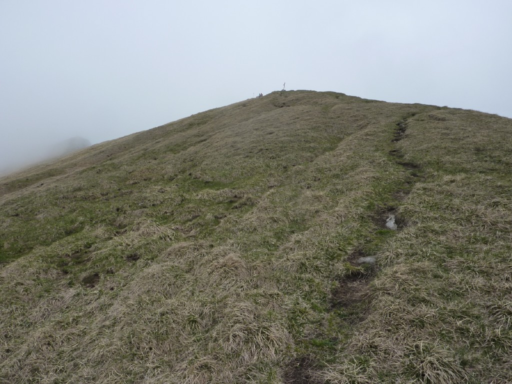 p1010251.jpg