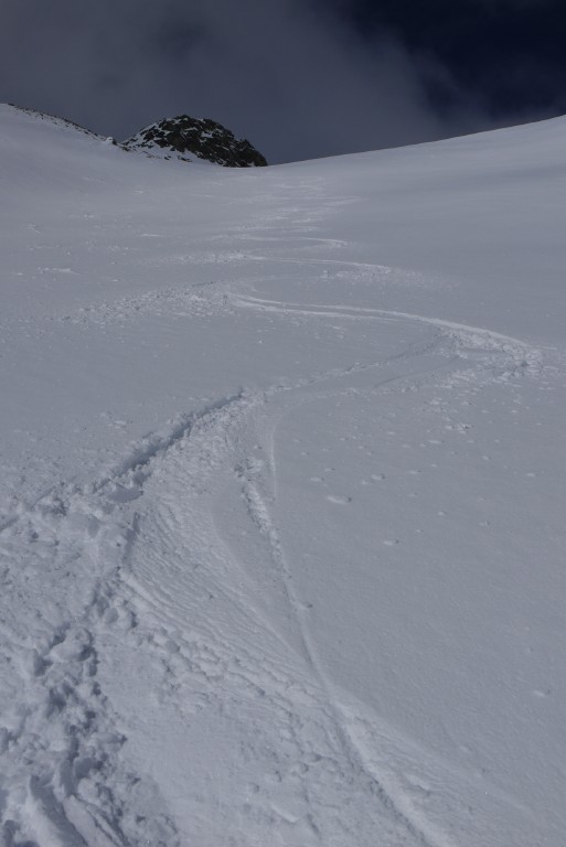 p1000269.jpg