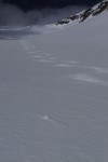 p1000270.jpg