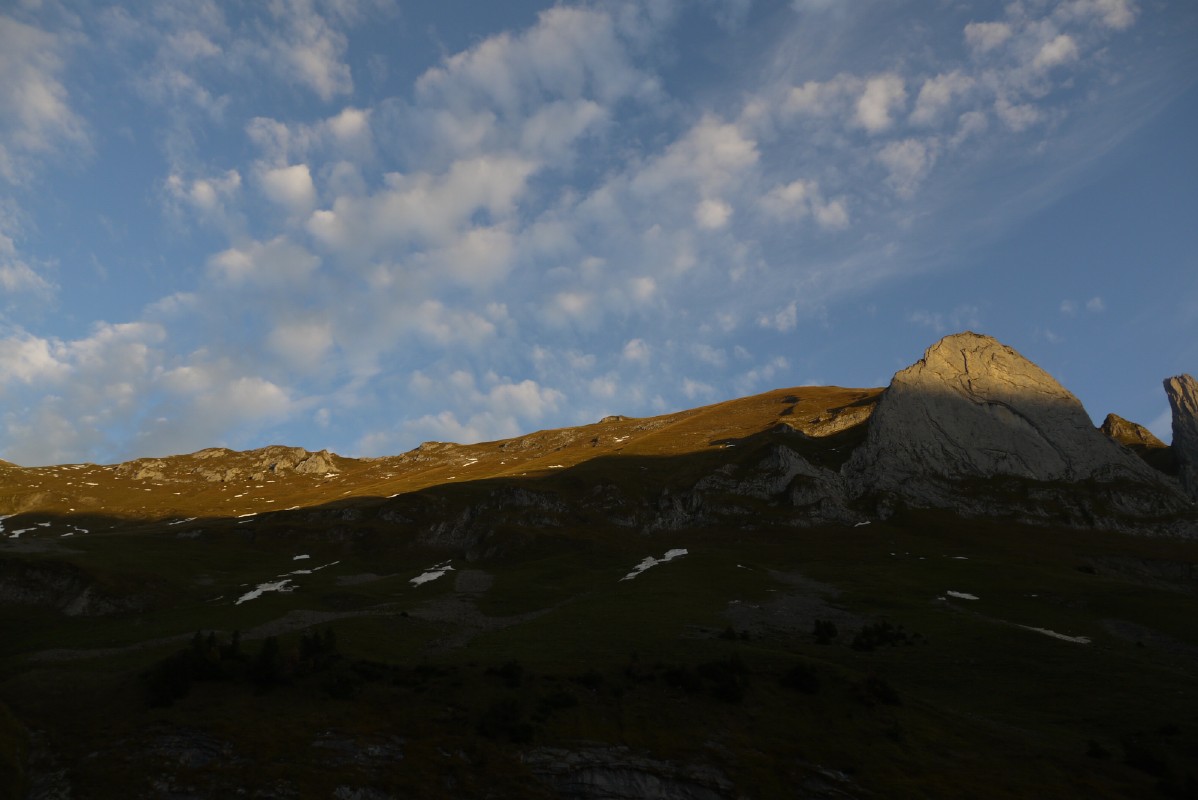 p1010403.jpg