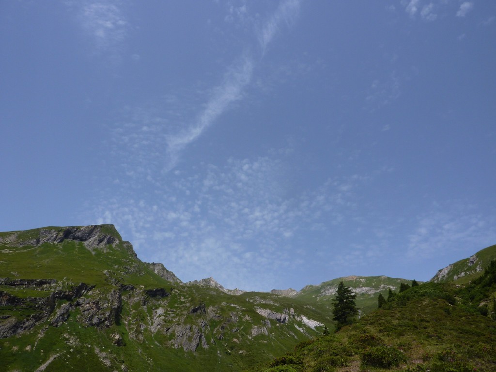 p1010499.jpg