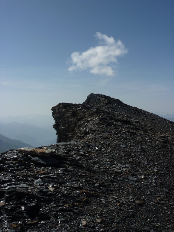 p1010549.jpg