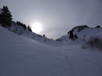 p1000187.jpg