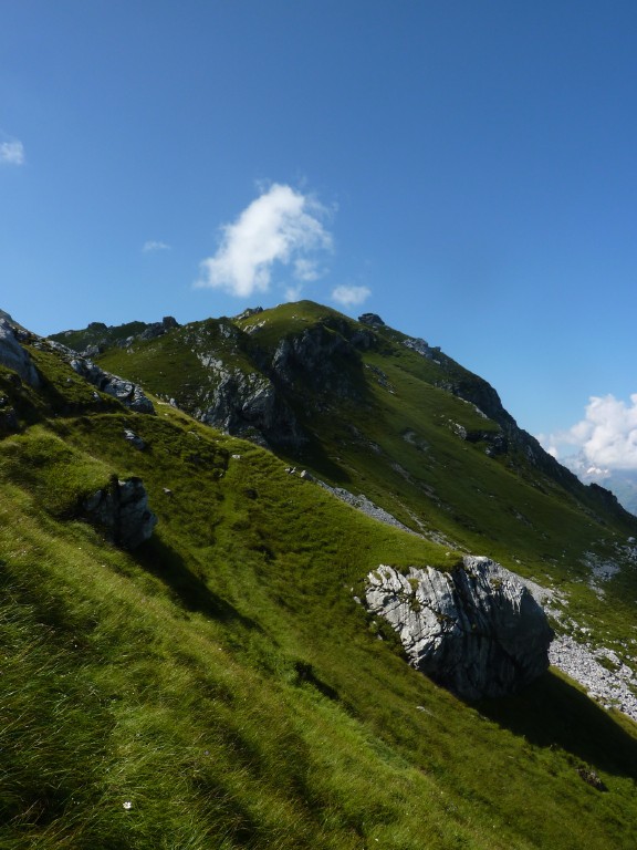 p1010801.jpg