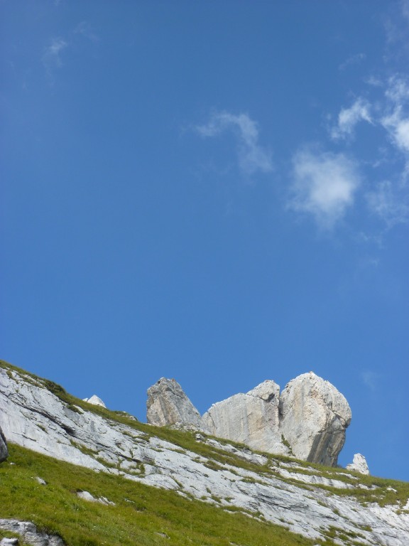 p1010813.jpg