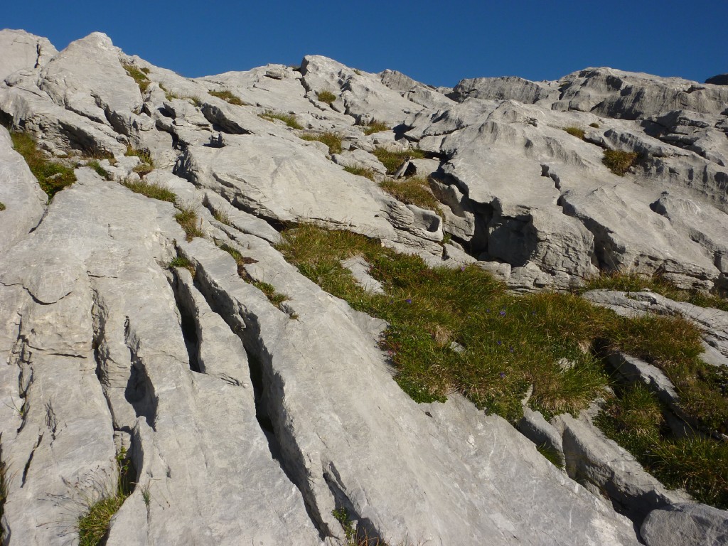 p1010832.jpg