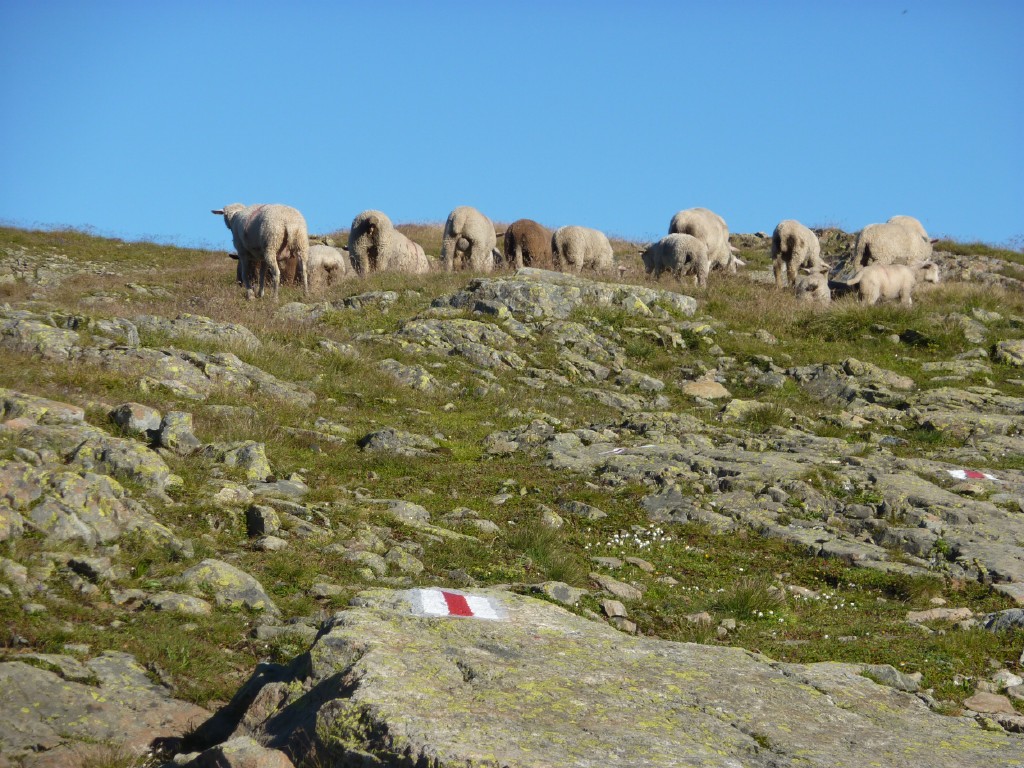 p1010834.jpg