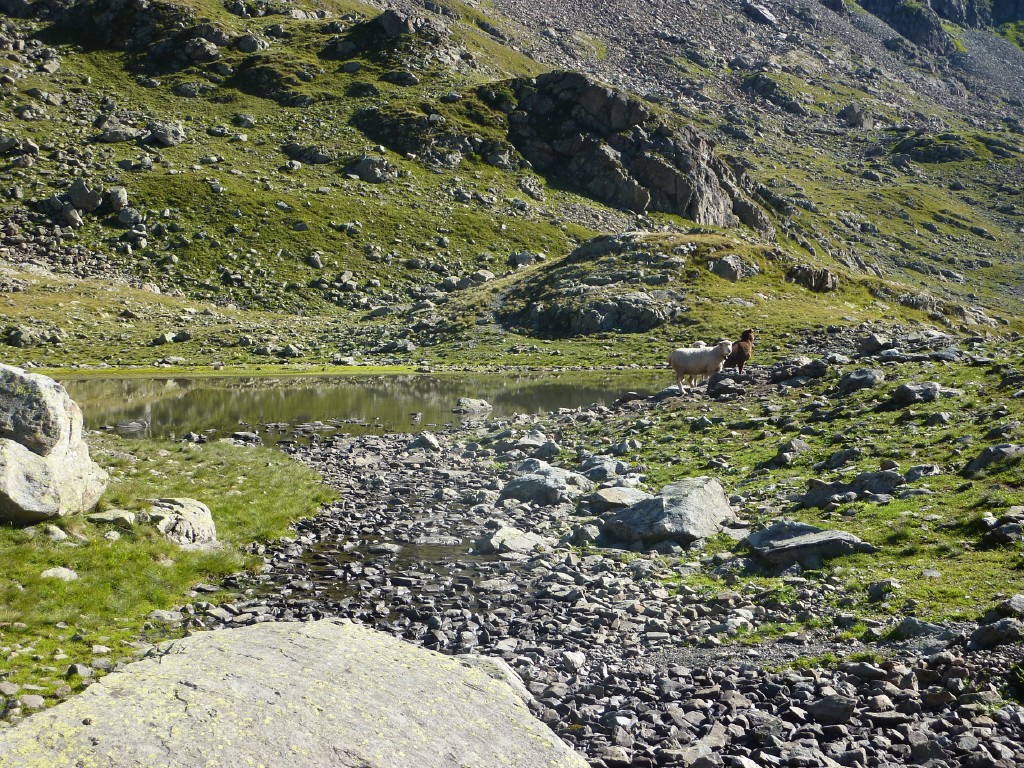 p1010838.jpg