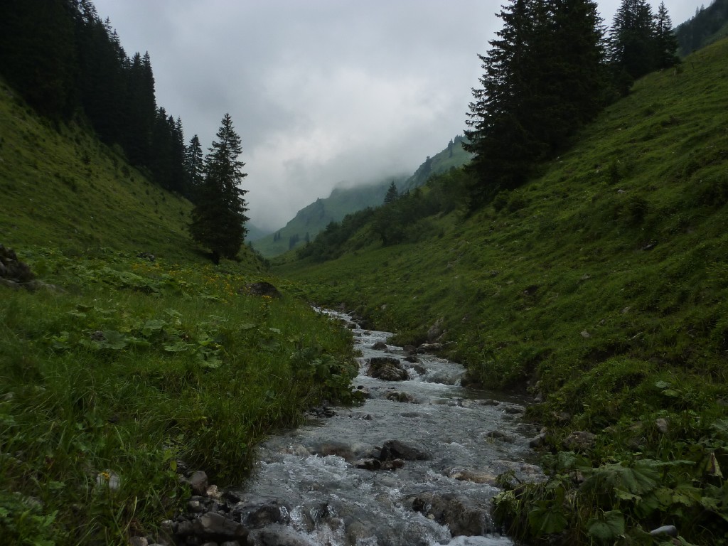 p1010649.jpg