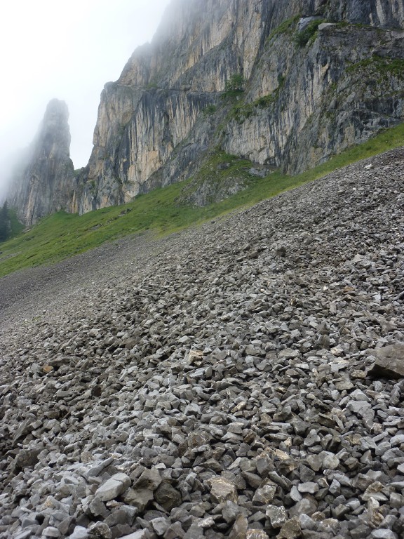 p1010653.jpg