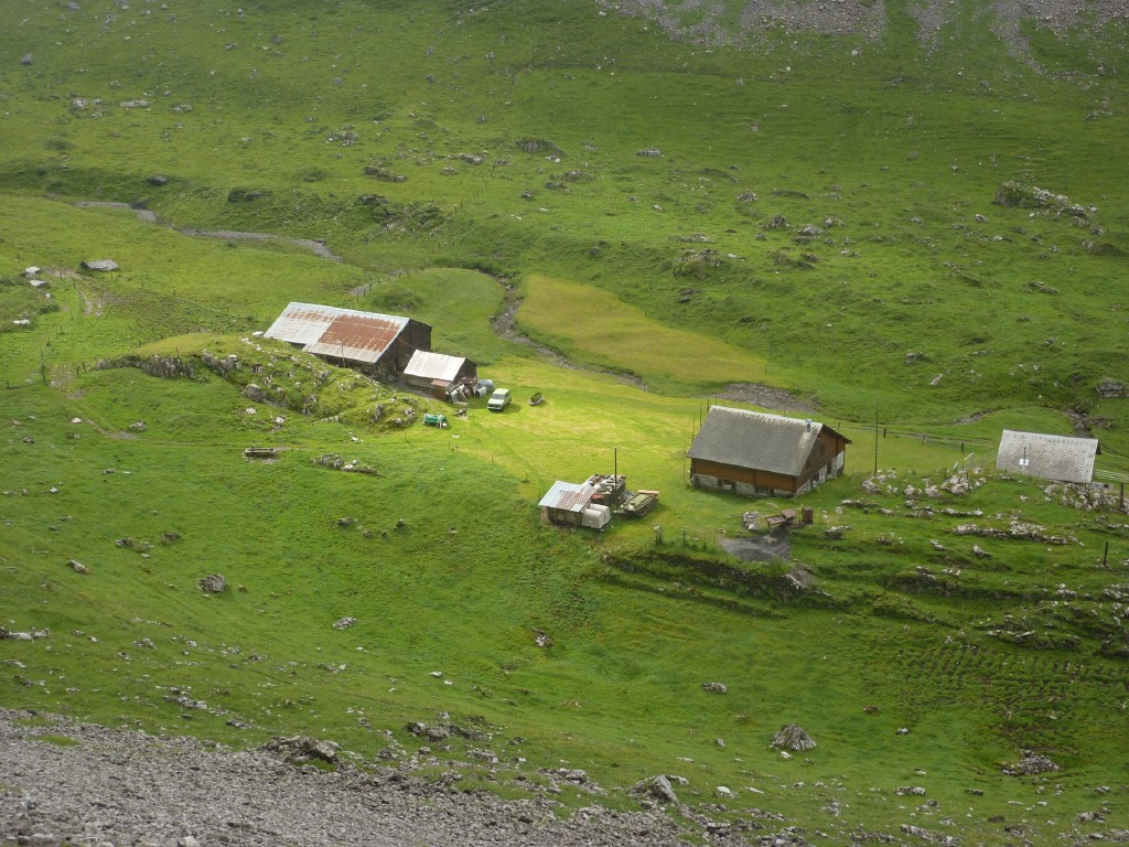 p1010654.jpg