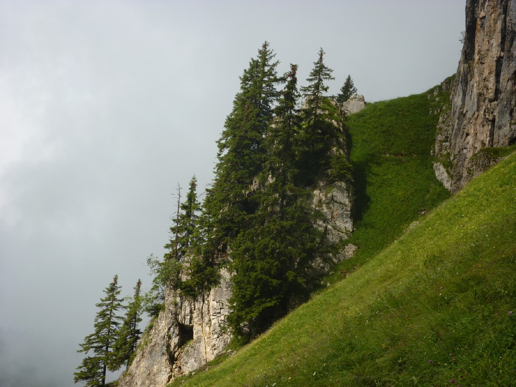 p1010655.jpg