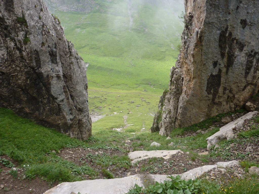 p1010656.jpg
