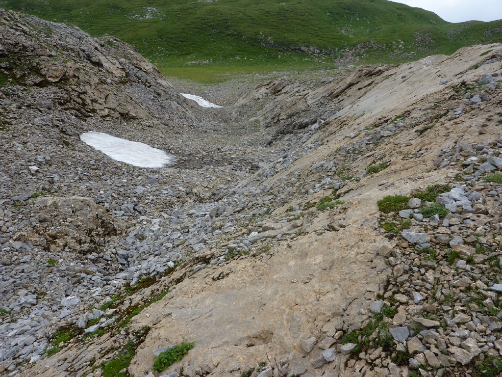 p1010662.jpg