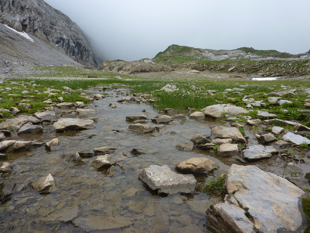 p1010666.jpg