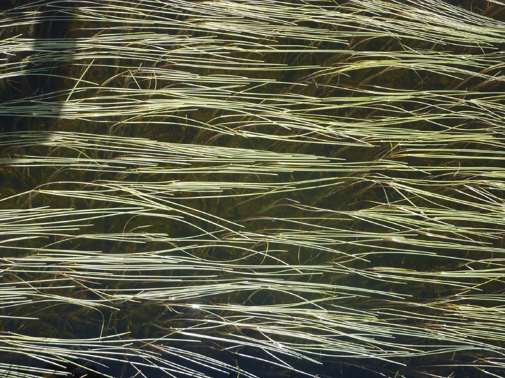 p1010681.jpg
