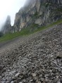 p1010653.jpg