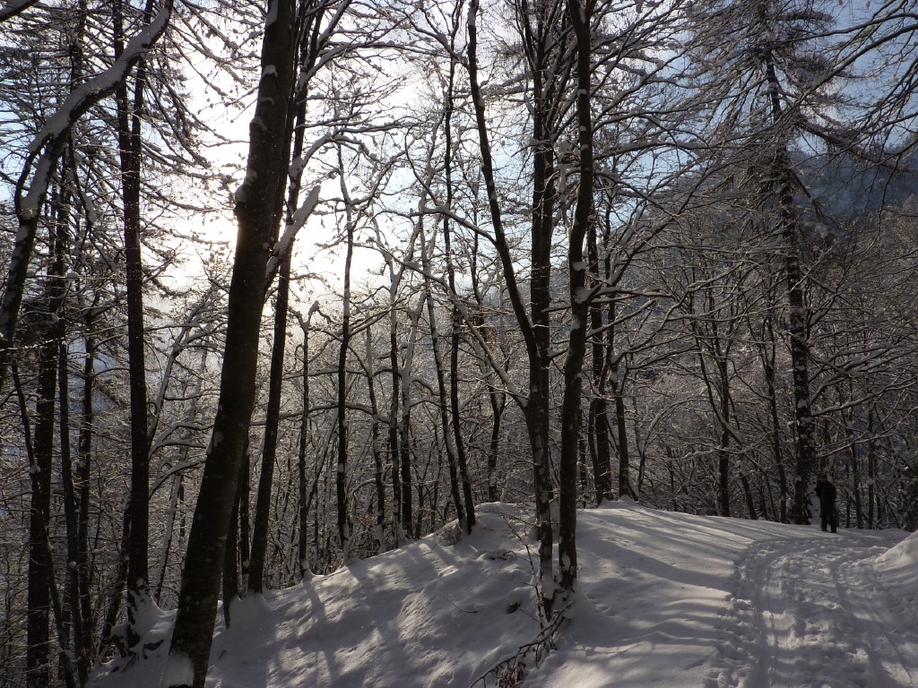 p1000425.jpg