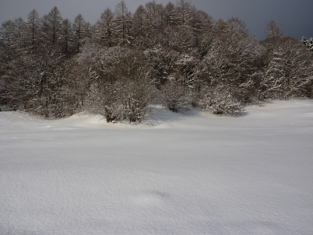 p1000435.jpg