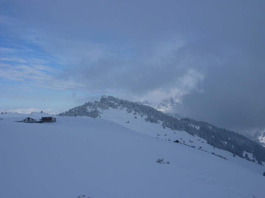 p1000450.jpg