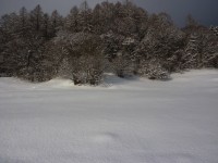 p1000435.jpg