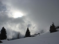 p1000448.jpg
