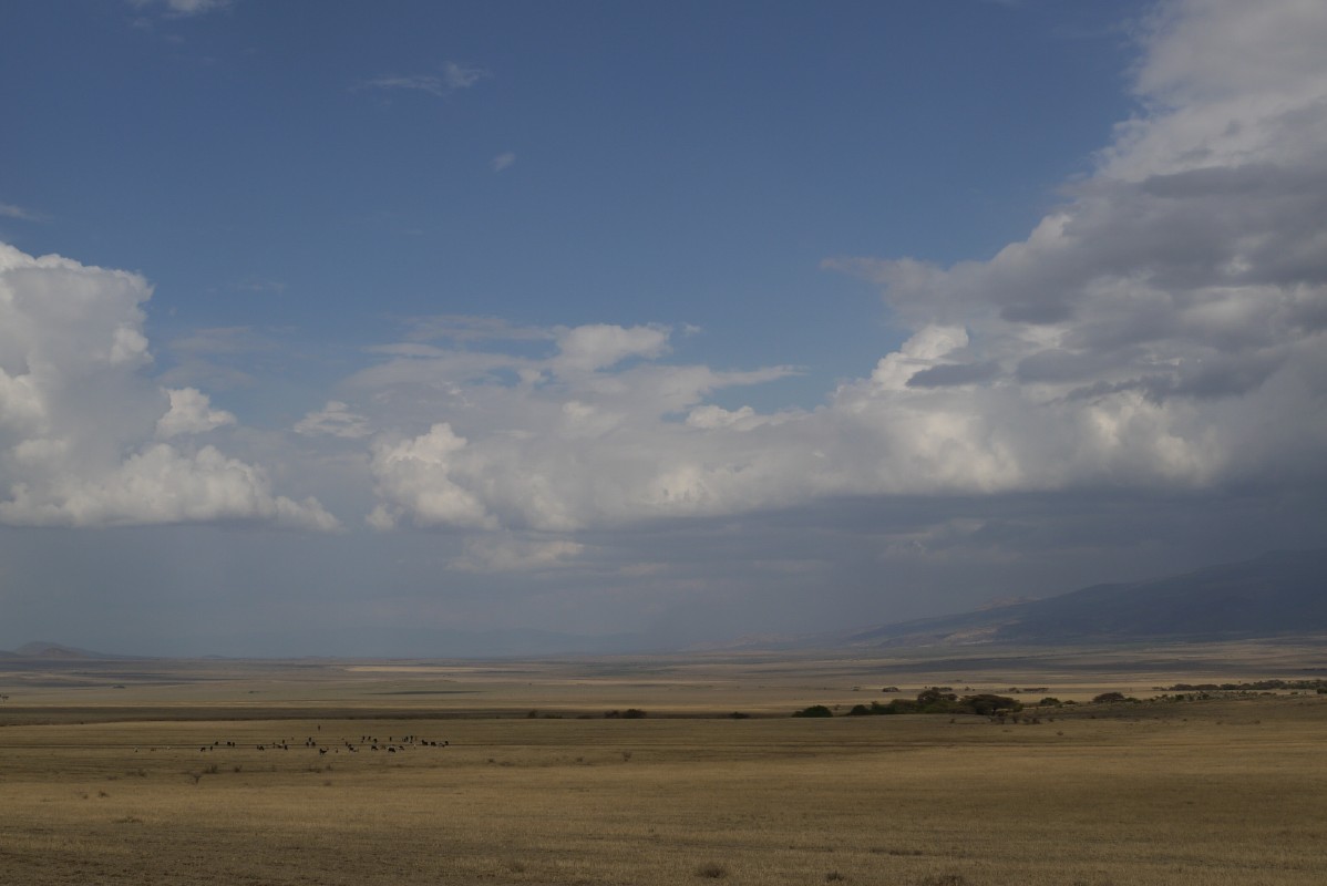 p1010523.jpg
