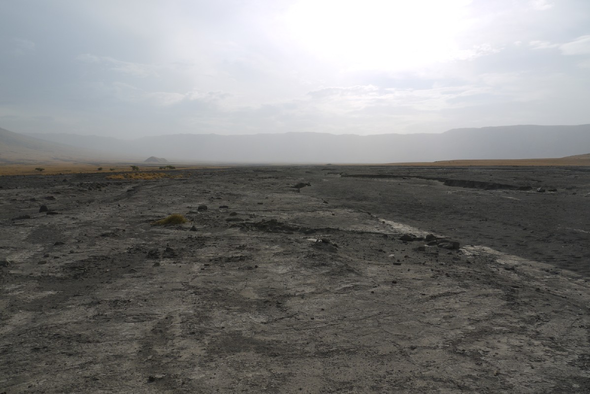p1010532.jpg