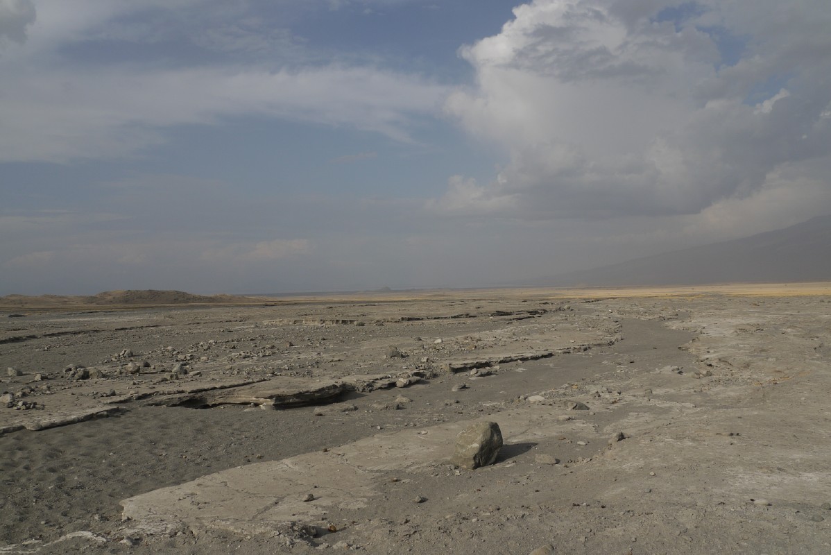 p1010533.jpg