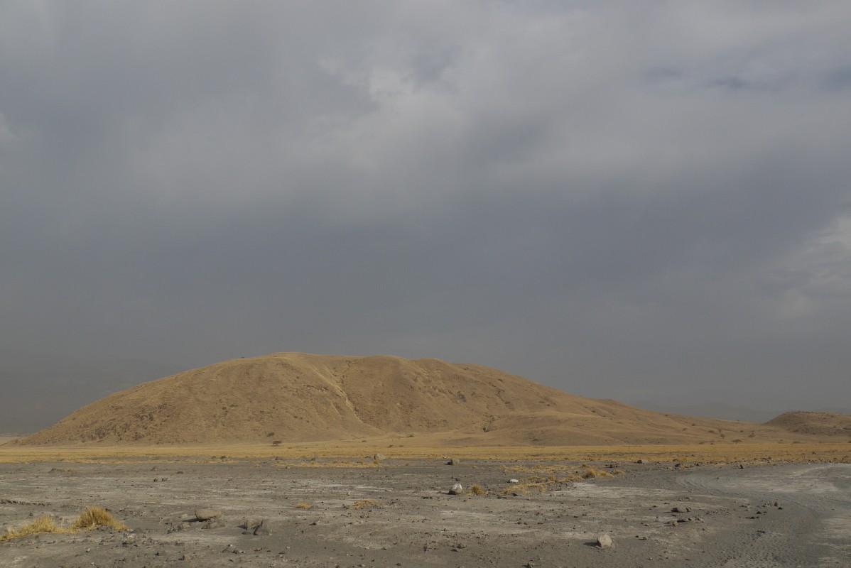 p1010535.jpg