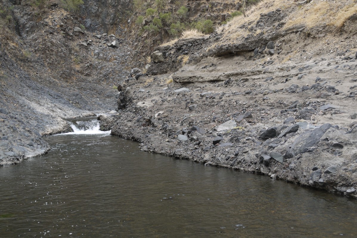 p1010536.jpg