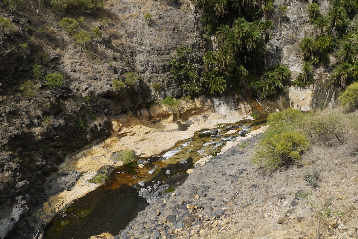 p1010545.jpg