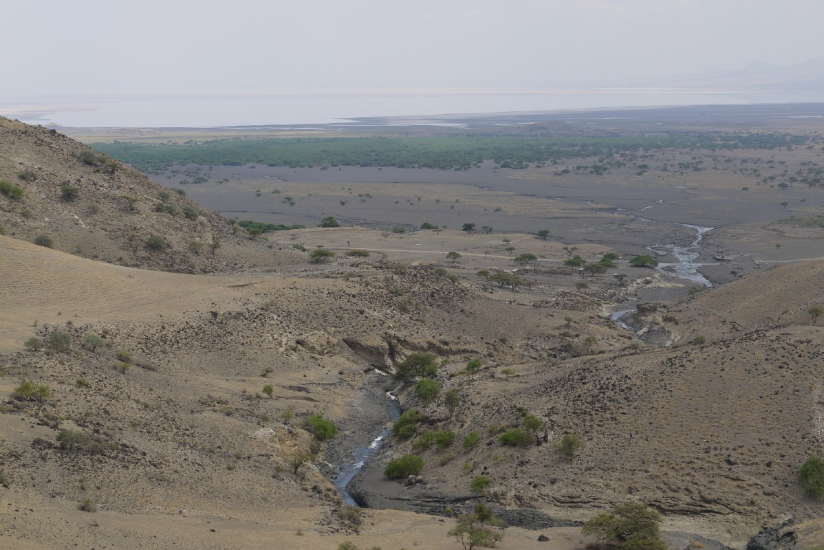 p1010559.jpg