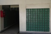 p1010500.jpg