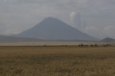 p1010516.jpg