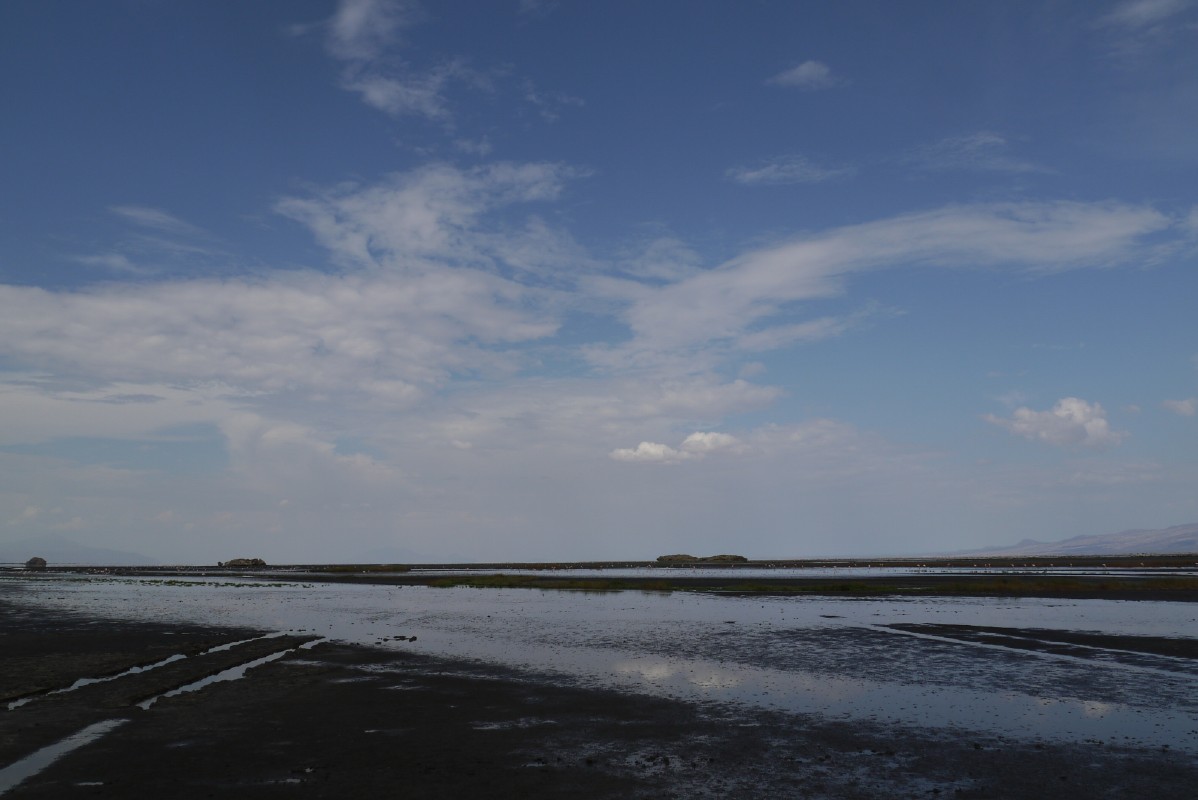p1010563.jpg