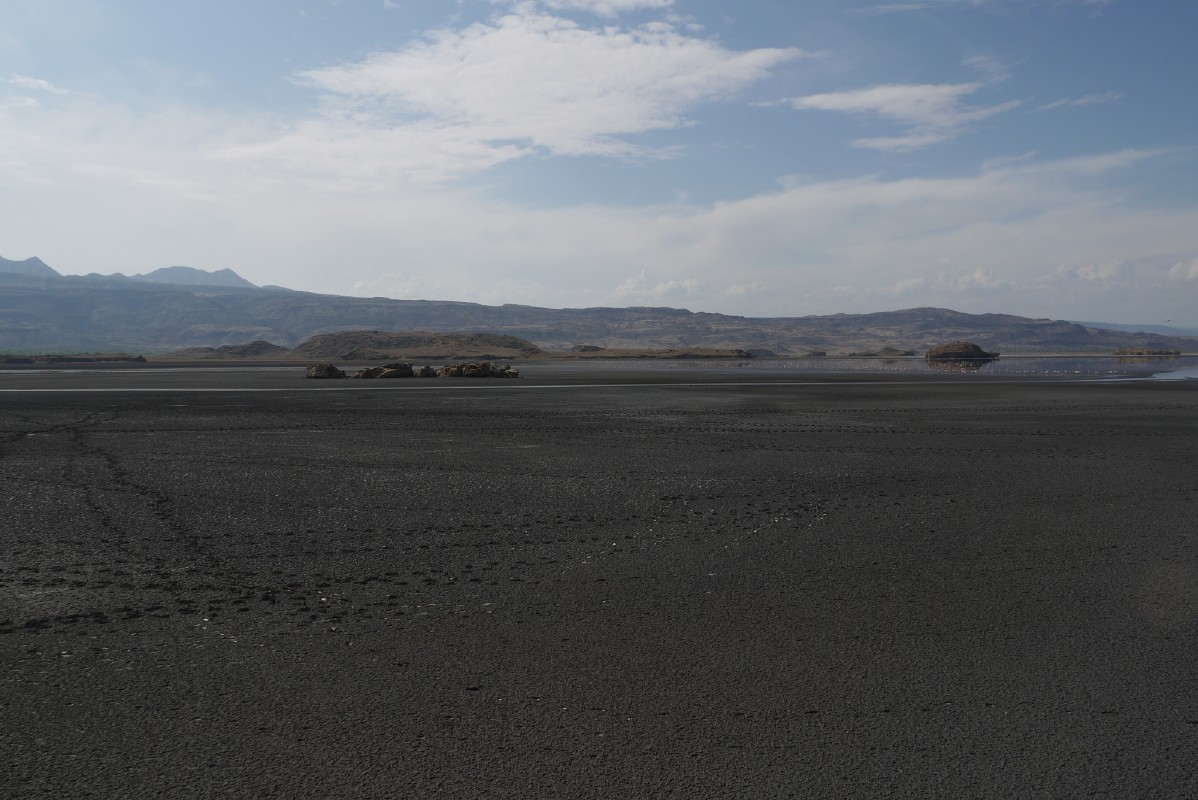 p1010584.jpg