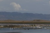 p1010574.jpg