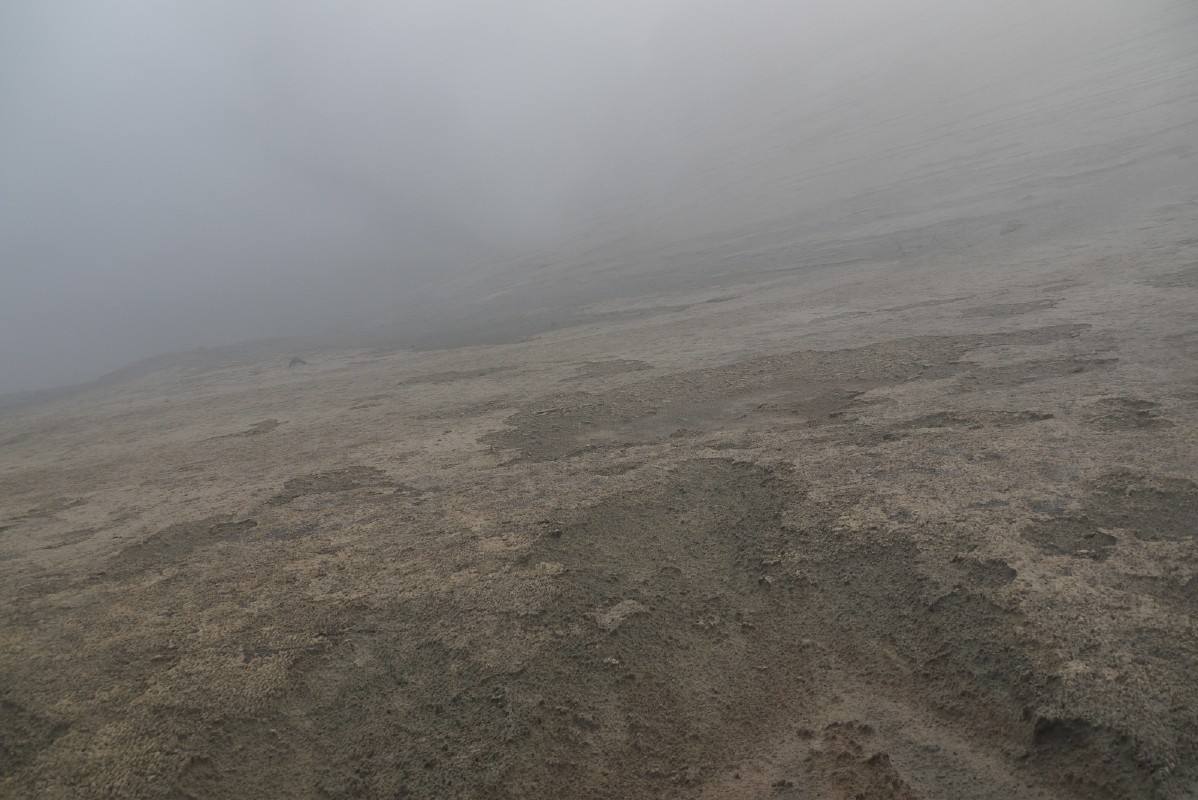 p1010643.jpg