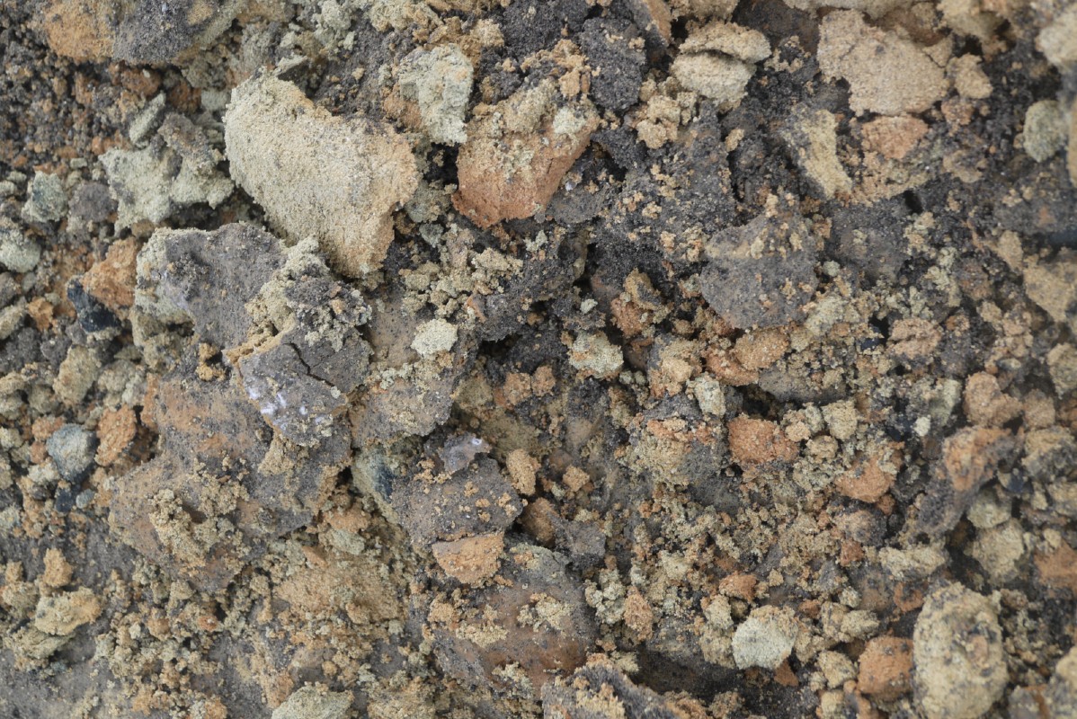 p1010645.jpg