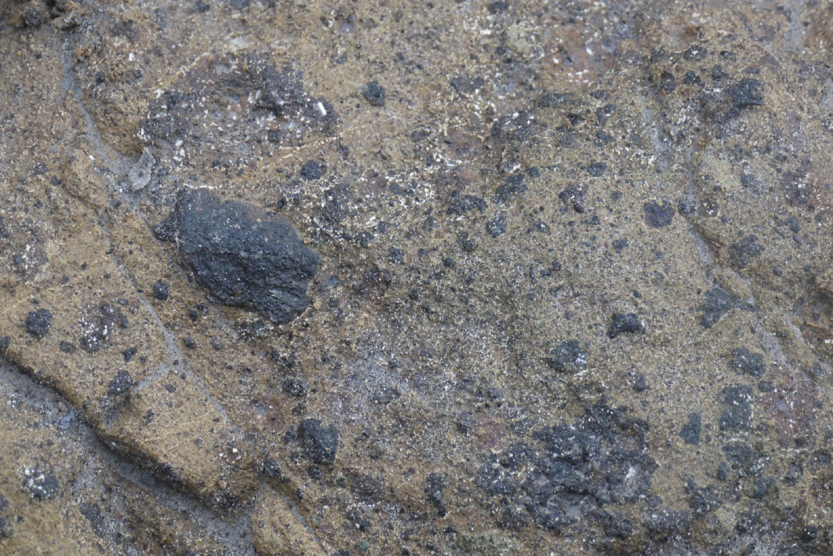 p1010651.jpg